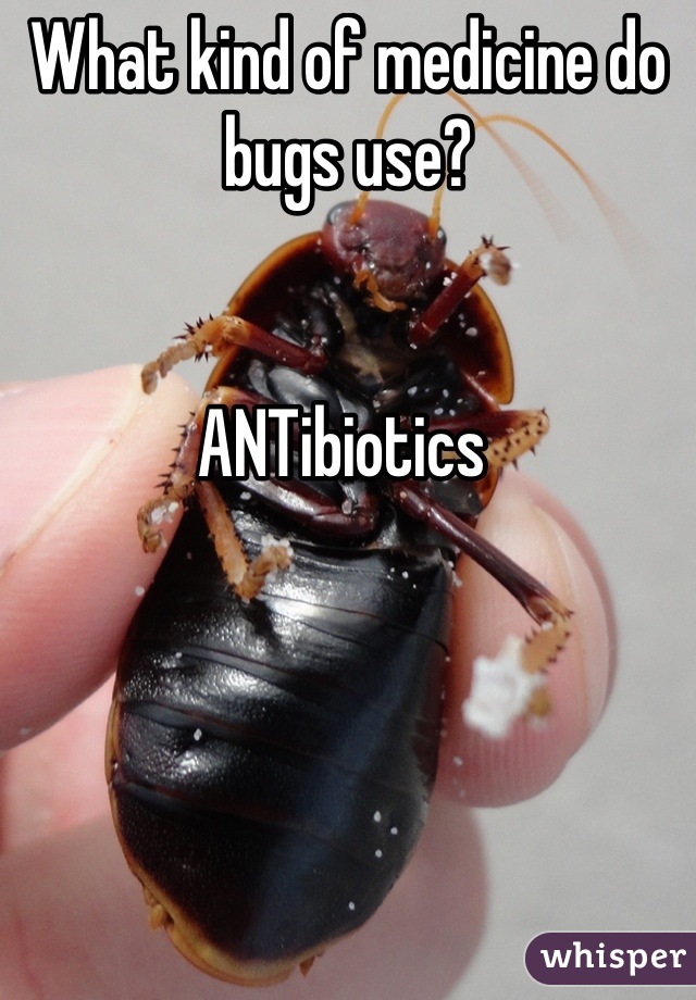 What kind of medicine do bugs use? 


ANTibiotics 