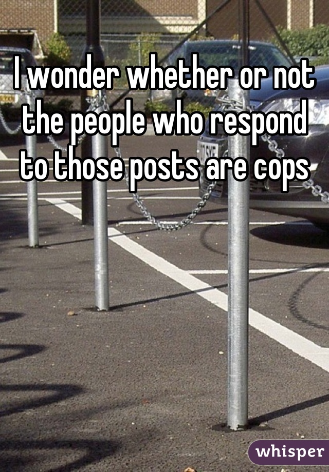 I wonder whether or not the people who respond to those posts are cops