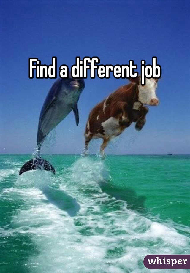 Find a different job