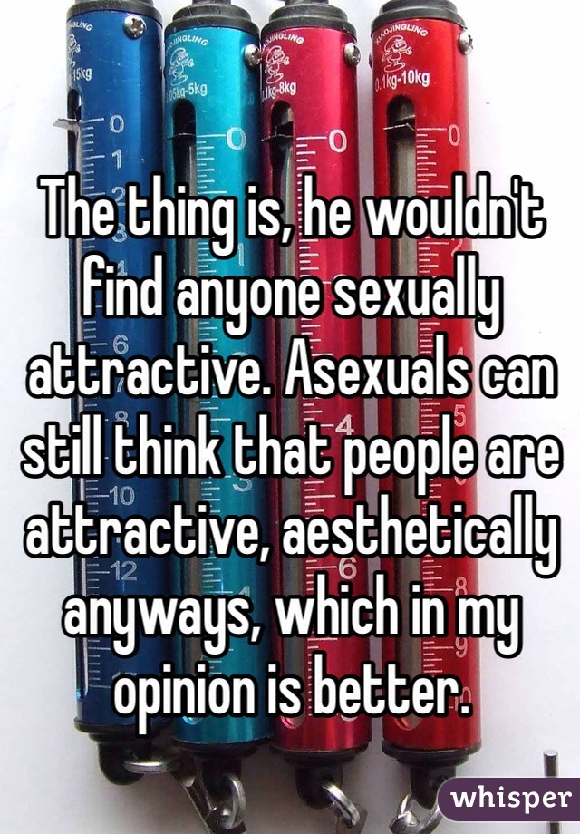 The thing is, he wouldn't find anyone sexually attractive. Asexuals can still think that people are attractive, aesthetically anyways, which in my opinion is better. 