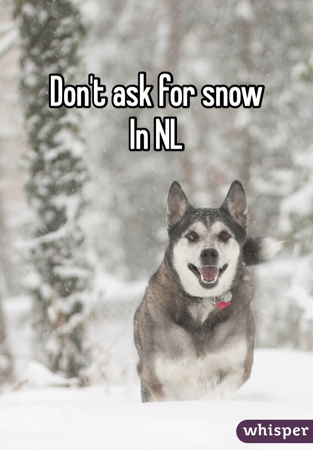 Don't ask for snow 
In NL