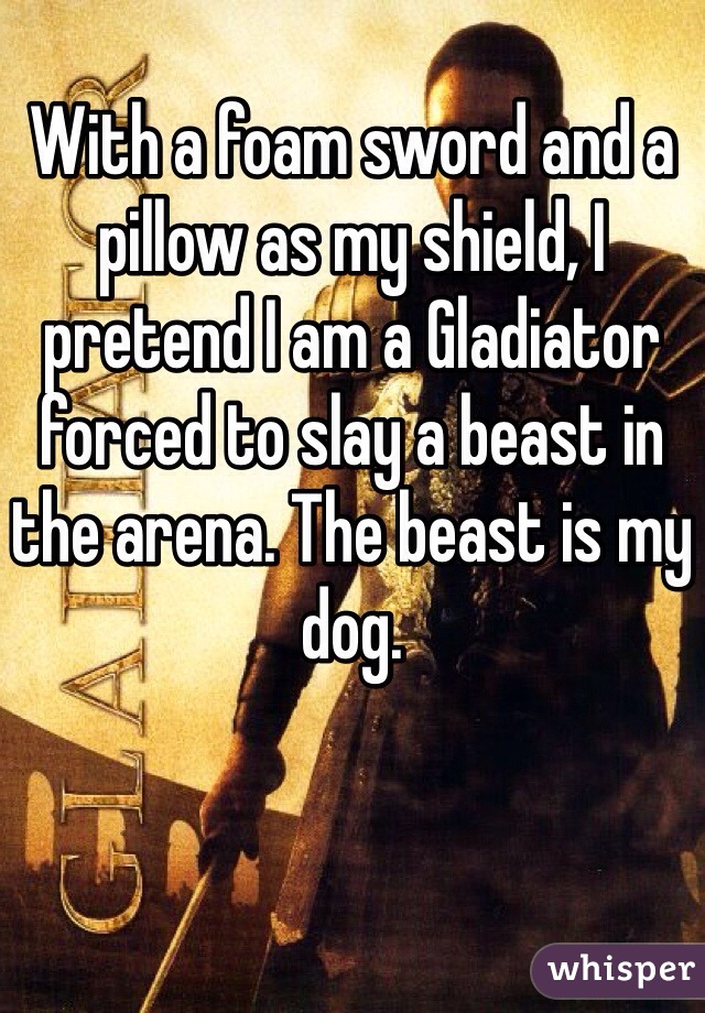 
With a foam sword and a pillow as my shield, I pretend I am a Gladiator forced to slay a beast in the arena. The beast is my dog. 
  