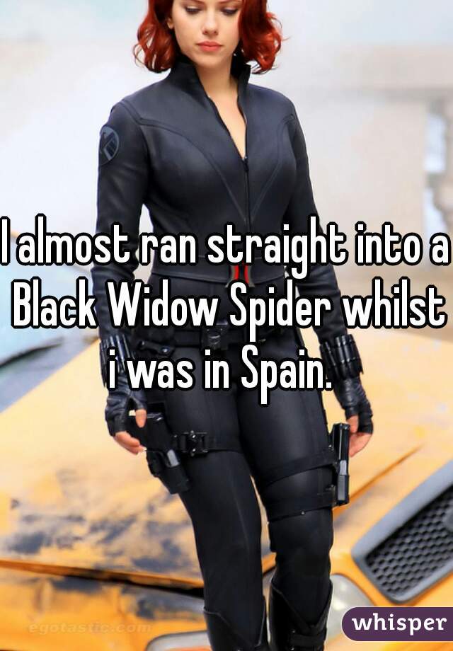 I almost ran straight into a Black Widow Spider whilst i was in Spain.  
