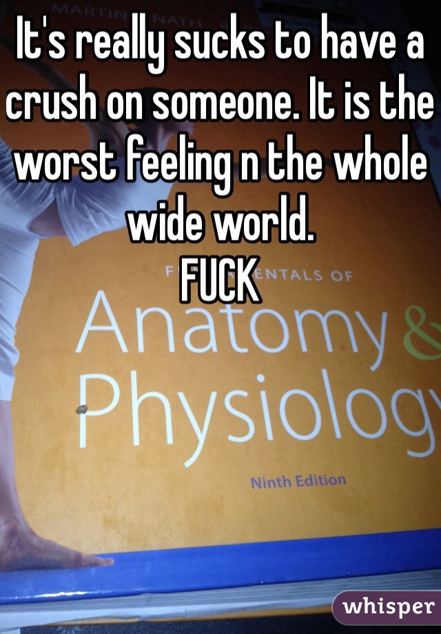 It's really sucks to have a crush on someone. It is the worst feeling n the whole wide world. 
FUCK