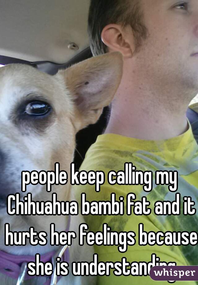 people keep calling my Chihuahua bambi fat and it hurts her feelings because she is understanding