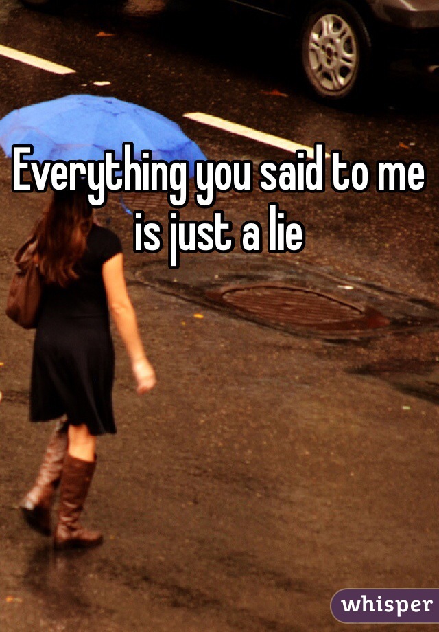 Everything you said to me is just a lie