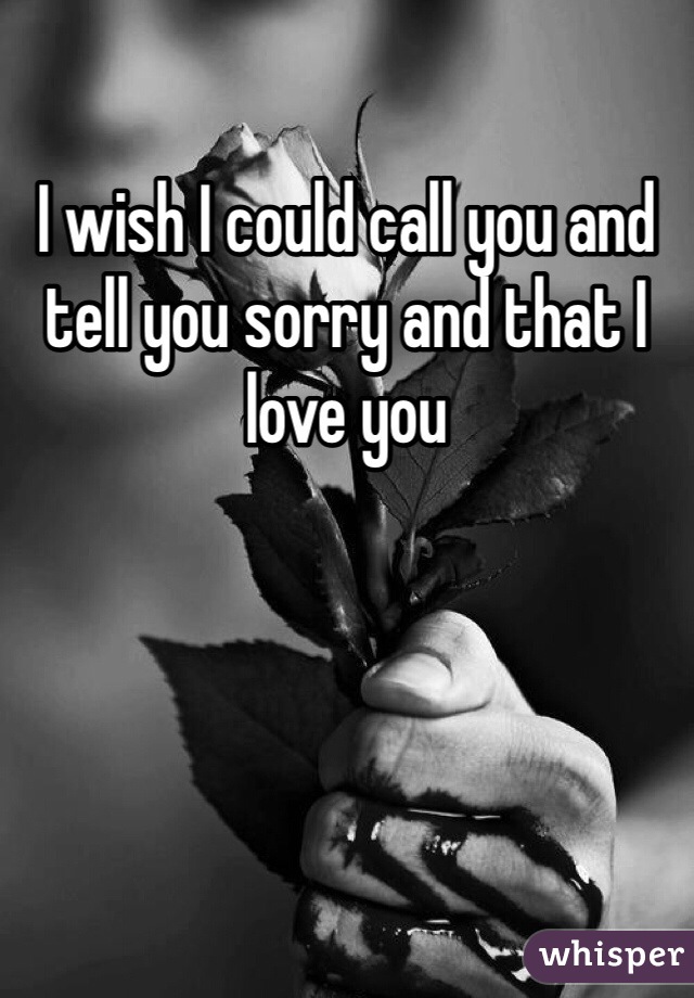 I wish I could call you and tell you sorry and that I love you