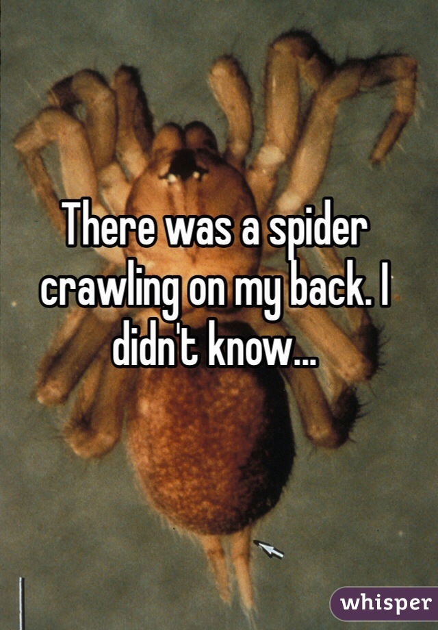 There was a spider crawling on my back. I didn't know...