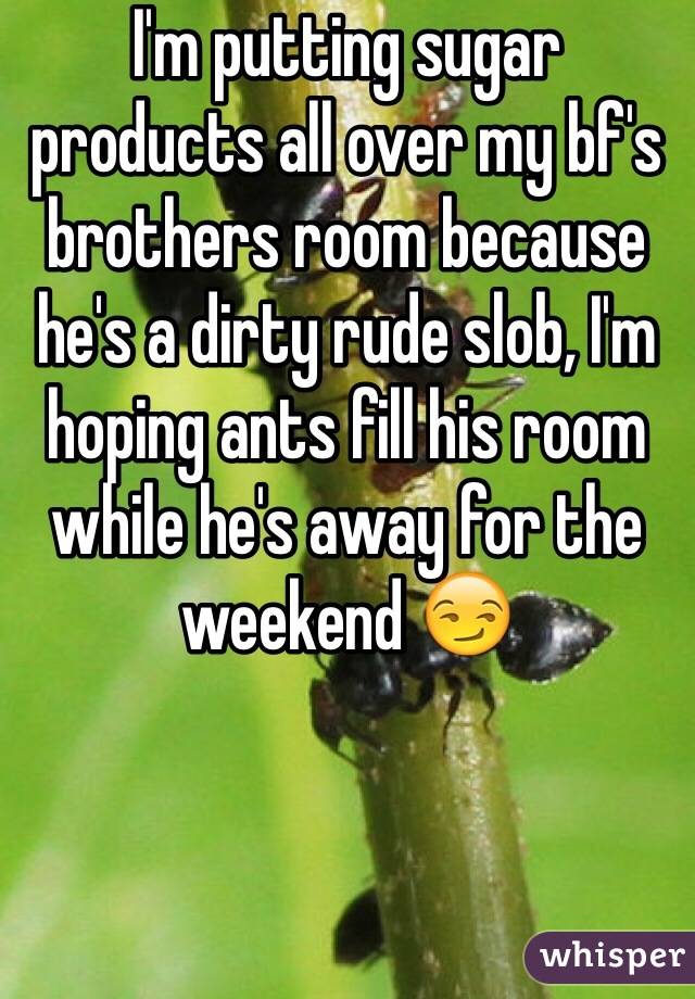 I'm putting sugar products all over my bf's brothers room because he's a dirty rude slob, I'm hoping ants fill his room while he's away for the weekend 😏