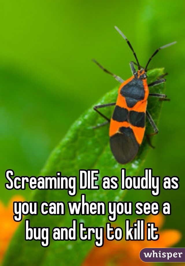 Screaming DIE as loudly as you can when you see a bug and try to kill it 