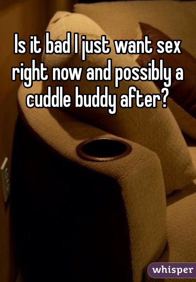 Is it bad I just want sex right now and possibly a cuddle buddy after?