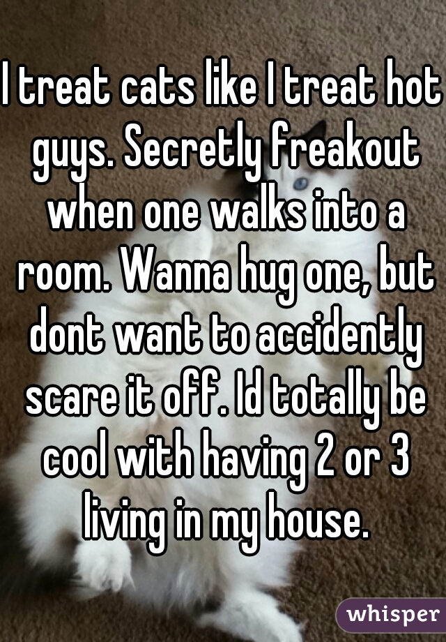 I treat cats like I treat hot guys. Secretly freakout when one walks into a room. Wanna hug one, but dont want to accidently scare it off. Id totally be cool with having 2 or 3 living in my house.