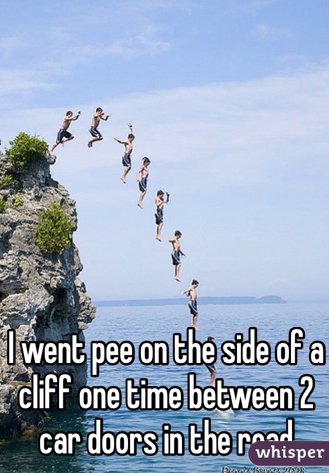 I went pee on the side of a cliff one time between 2 car doors in the road