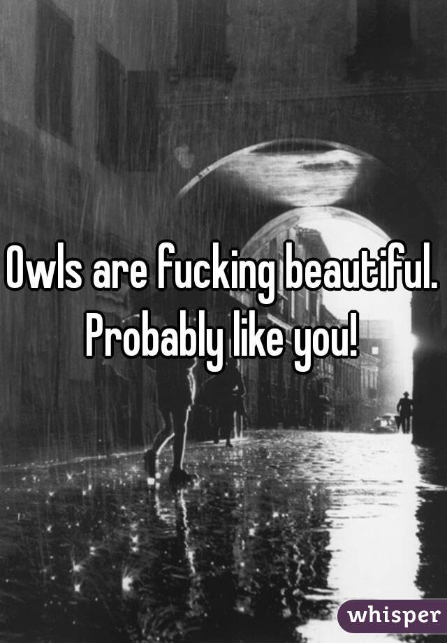 Owls are fucking beautiful. Probably like you! 