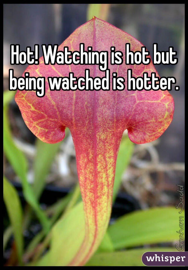 Hot! Watching is hot but being watched is hotter. 