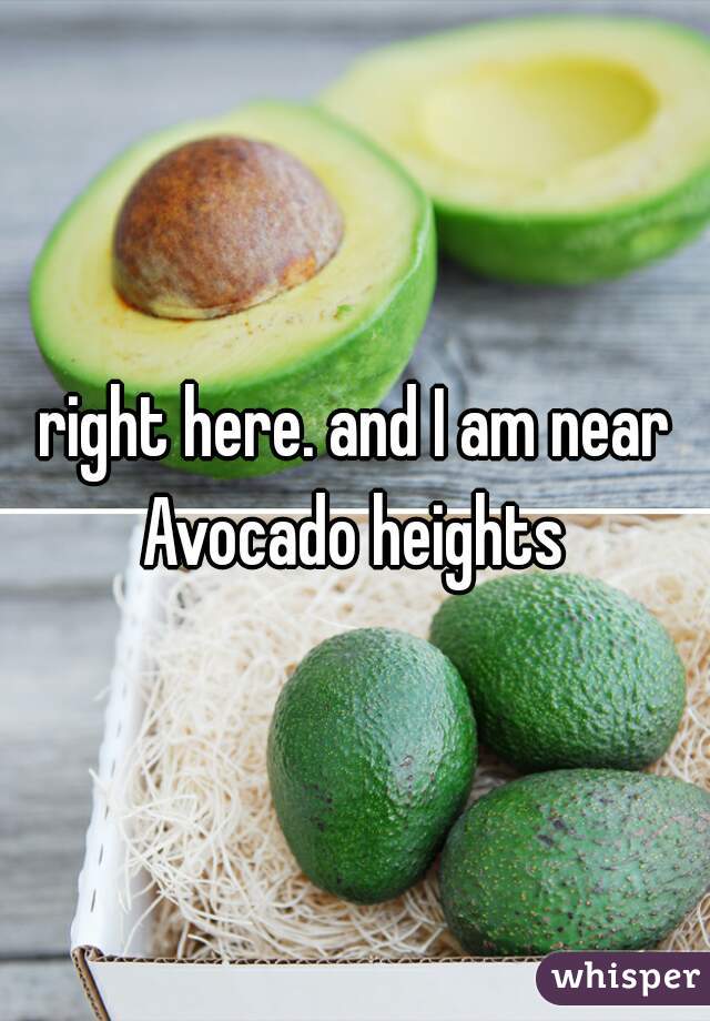 right here. and I am near Avocado heights 