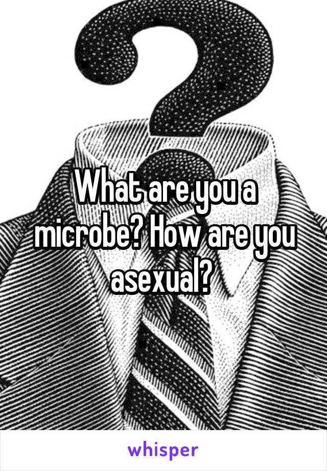 What are you a microbe? How are you asexual? 