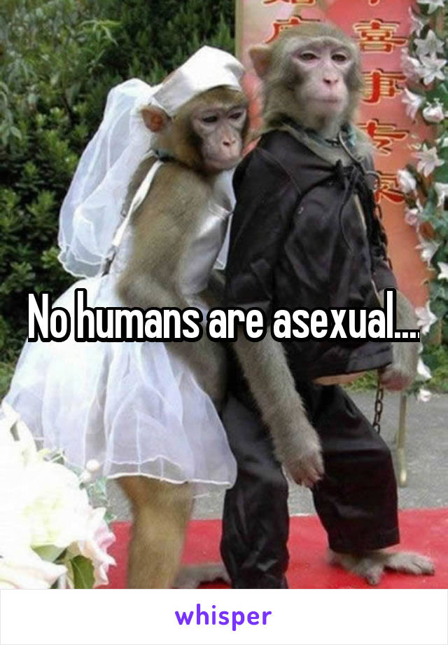 No humans are asexual....