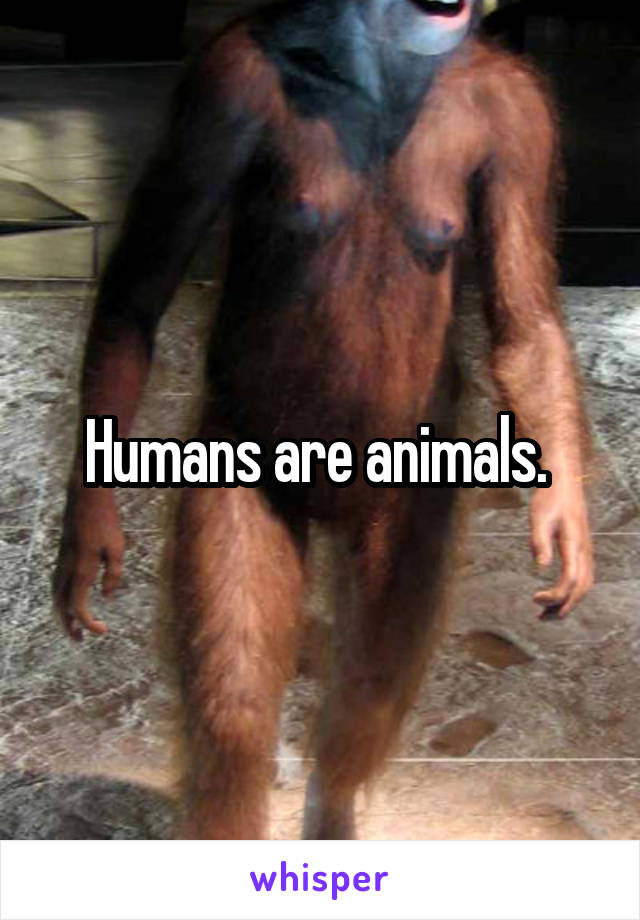 Humans are animals. 