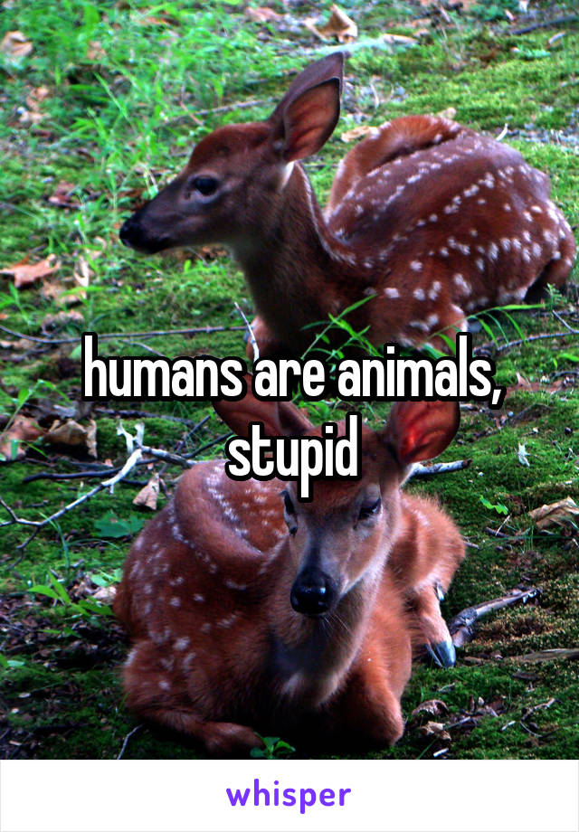 humans are animals, stupid