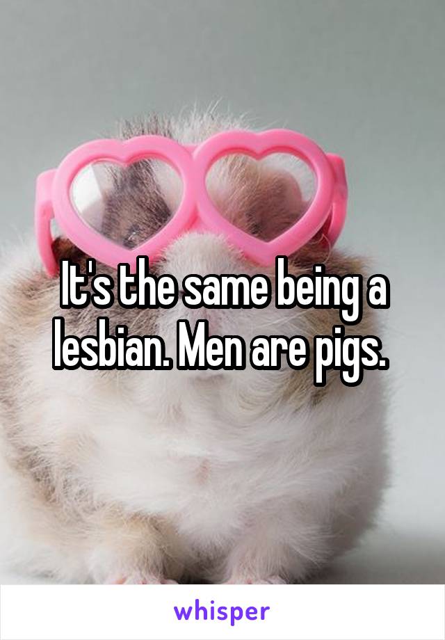 It's the same being a lesbian. Men are pigs. 