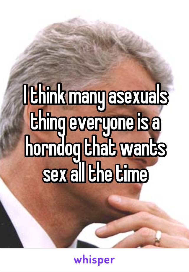 I think many asexuals thing everyone is a horndog that wants sex all the time