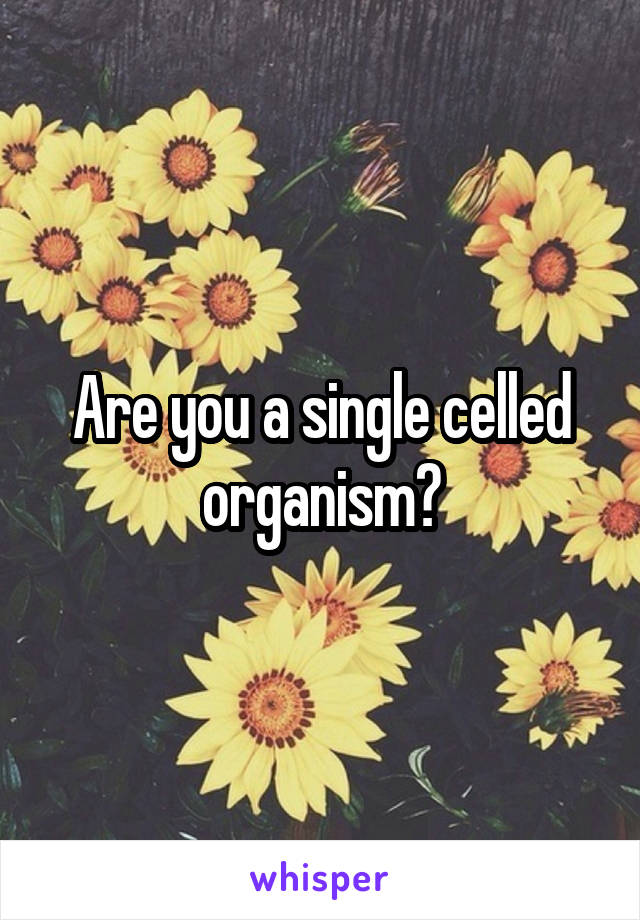 Are you a single celled organism?