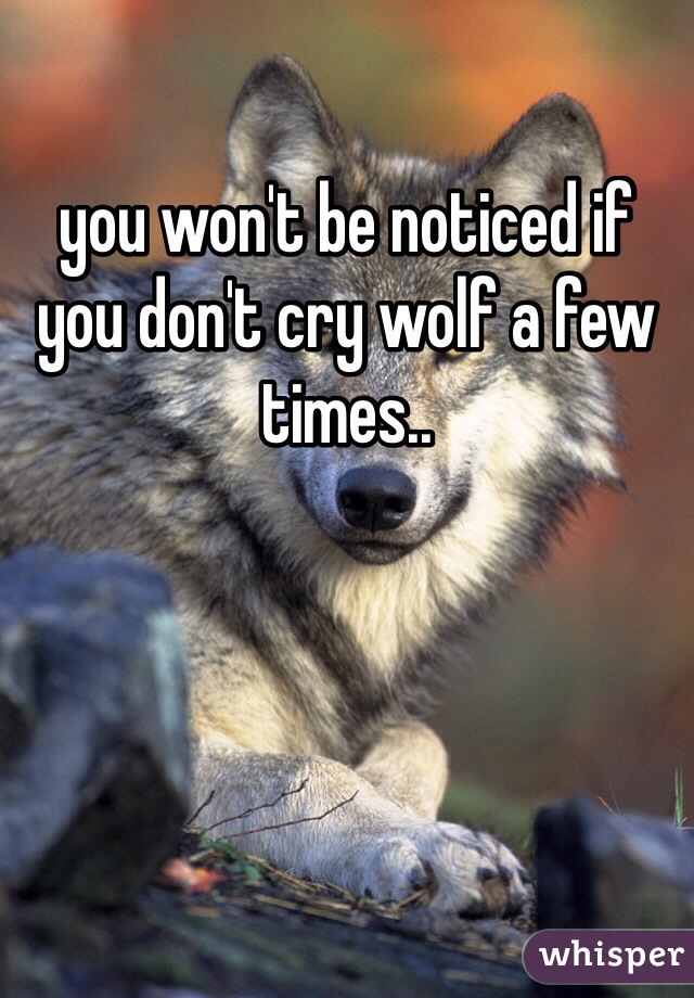 you-won-t-be-noticed-if-you-don-t-cry-wolf-a-few-times