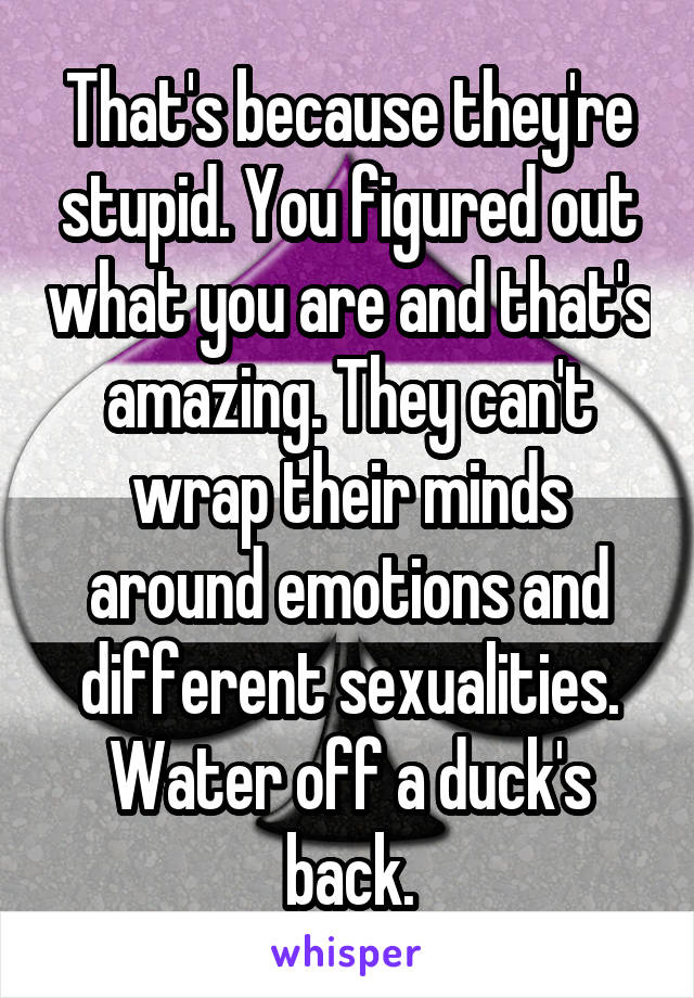 That's because they're stupid. You figured out what you are and that's amazing. They can't wrap their minds around emotions and different sexualities. Water off a duck's back.