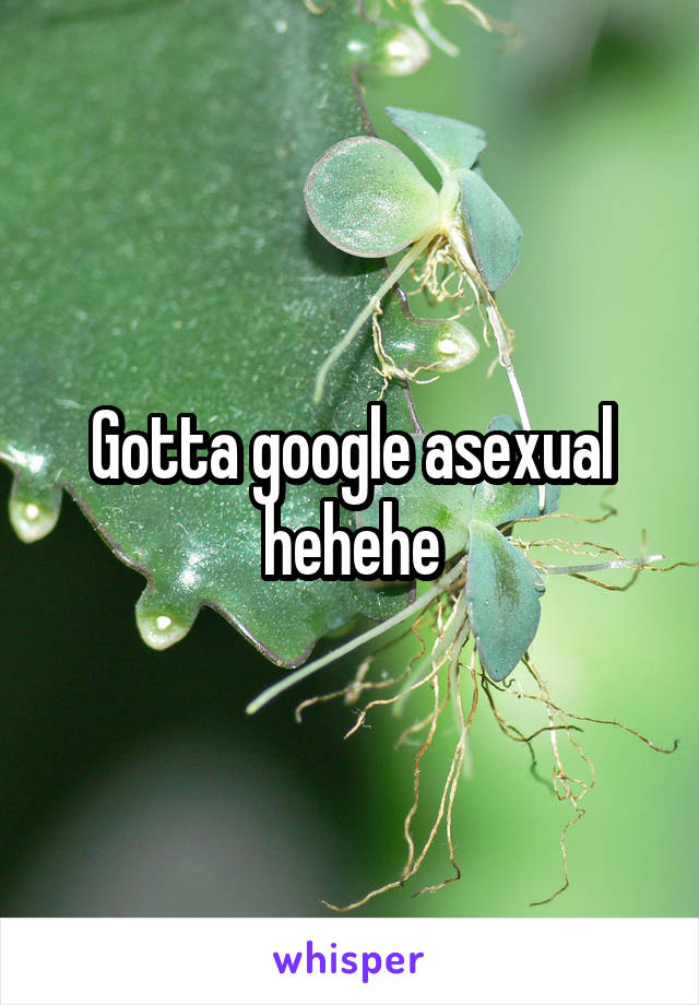 Gotta google asexual hehehe