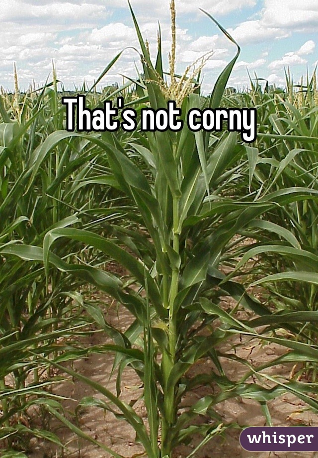 That's not corny