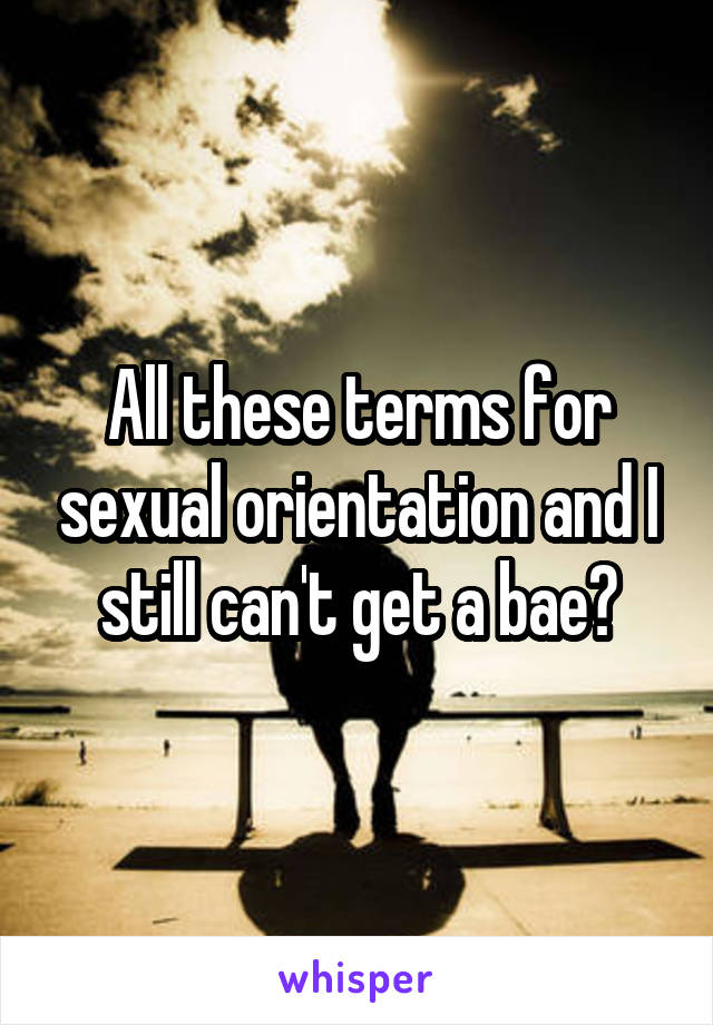 All these terms for sexual orientation and I still can't get a bae?