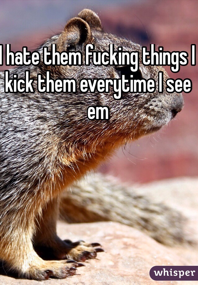 I hate them fucking things I kick them everytime I see em