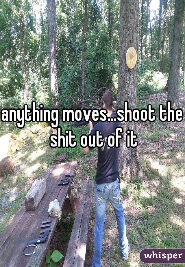 anything moves...shoot the shit out of it