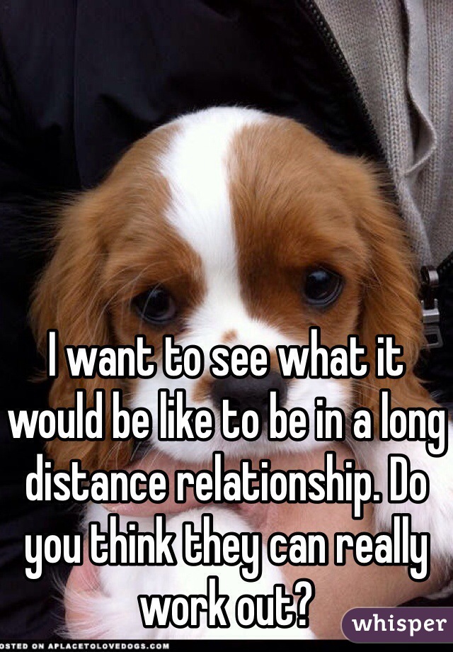 I want to see what it would be like to be in a long distance relationship. Do you think they can really work out?