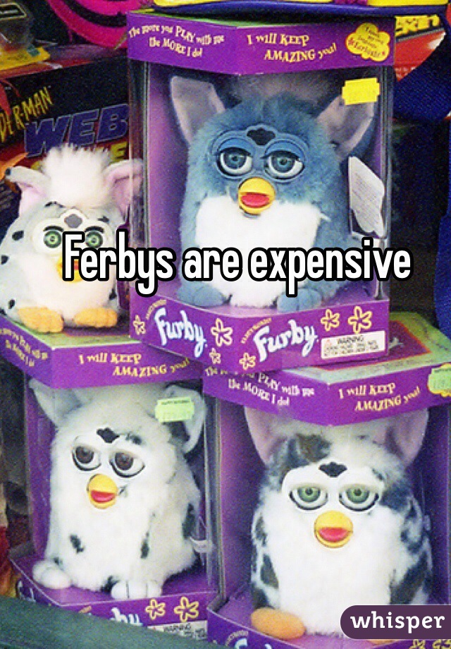 Ferbys are expensive