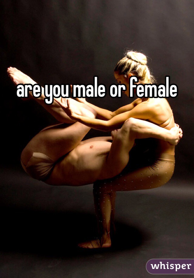 are you male or female 