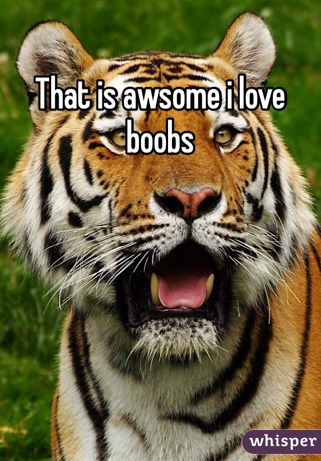 That is awsome i love boobs