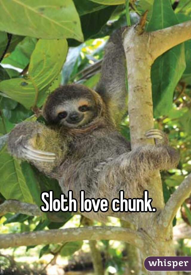 Sloth love chunk. 
