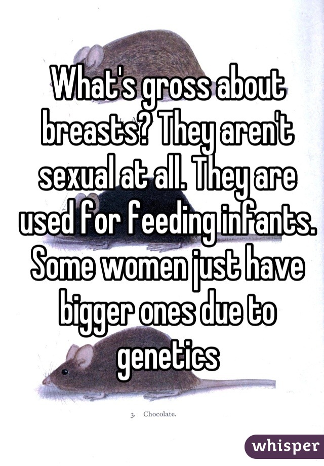 What's gross about breasts? They aren't sexual at all. They are used for feeding infants. Some women just have bigger ones due to genetics