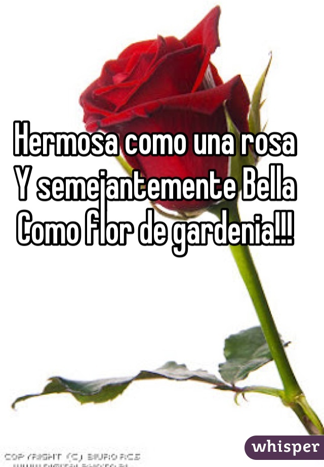 Hermosa como una rosa Y semejantemente Bella Como flor de gardenia!!!