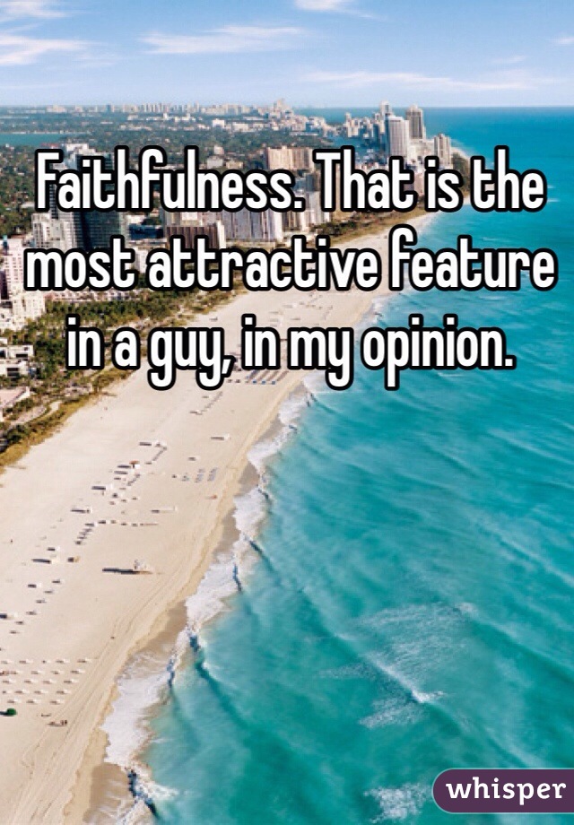 Faithfulness. That is the most attractive feature in a guy, in my opinion.