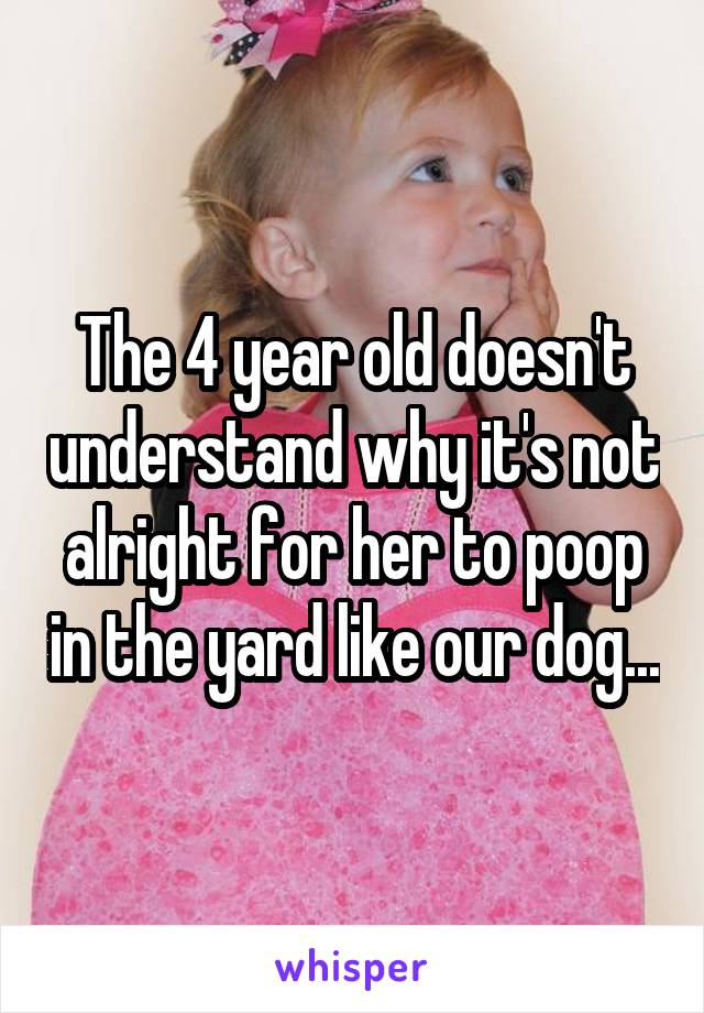 The 4 year old doesn't understand why it's not alright for her to poop in the yard like our dog...