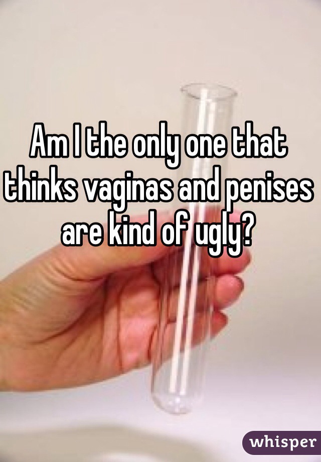 Am I the only one that thinks vaginas and penises are kind of ugly? 