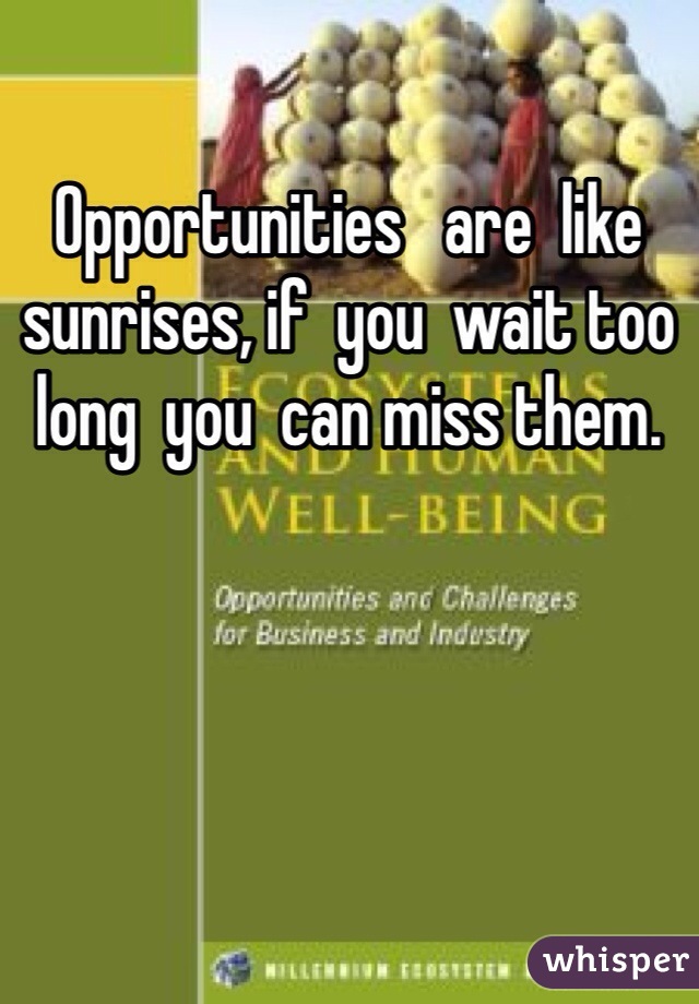 Opportunities   are  like
sunrises, if  you  wait too
long  you  can miss them. 