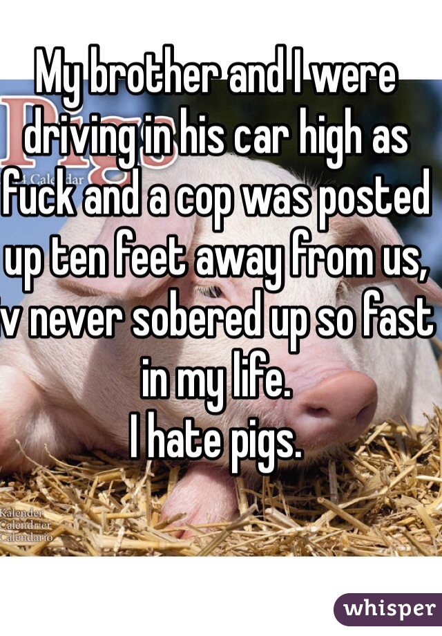 My brother and I were driving in his car high as fuck and a cop was posted up ten feet away from us, iv never sobered up so fast in my life. 
I hate pigs.
