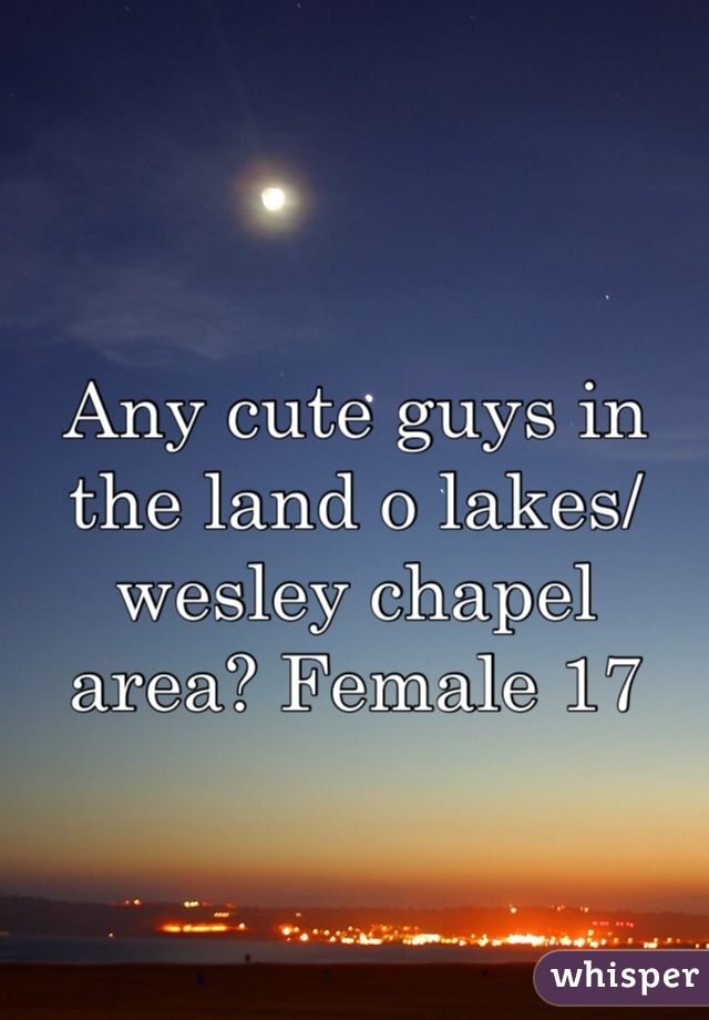Any cute guys in the land o lakes/ wesley chapel area? Female 17