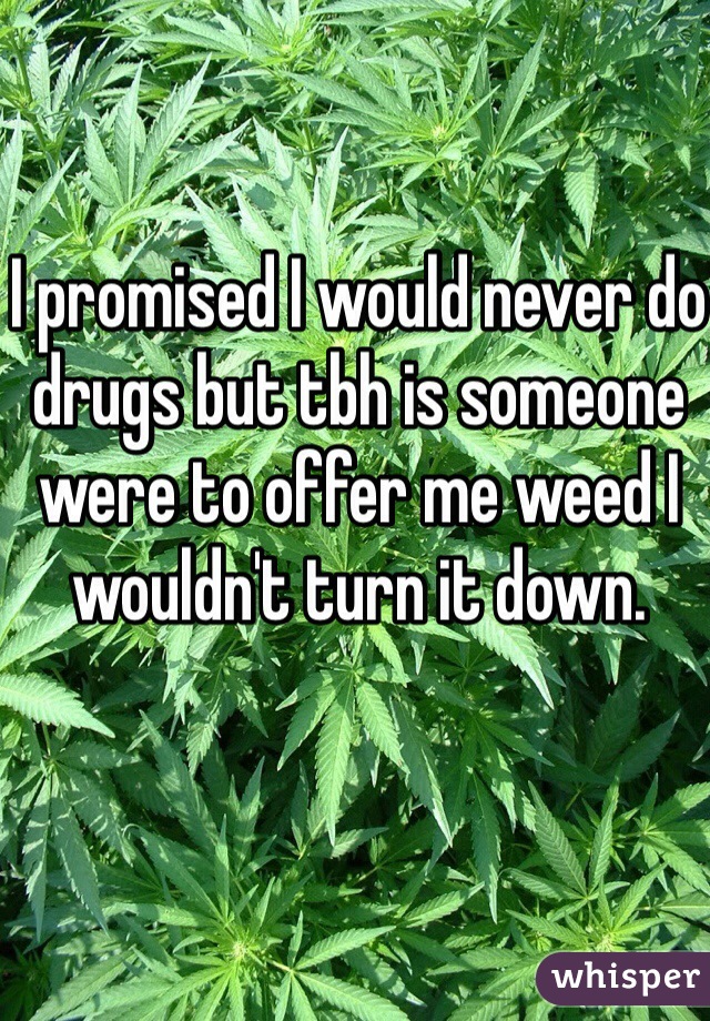 I promised I would never do drugs but tbh is someone were to offer me weed I wouldn't turn it down.