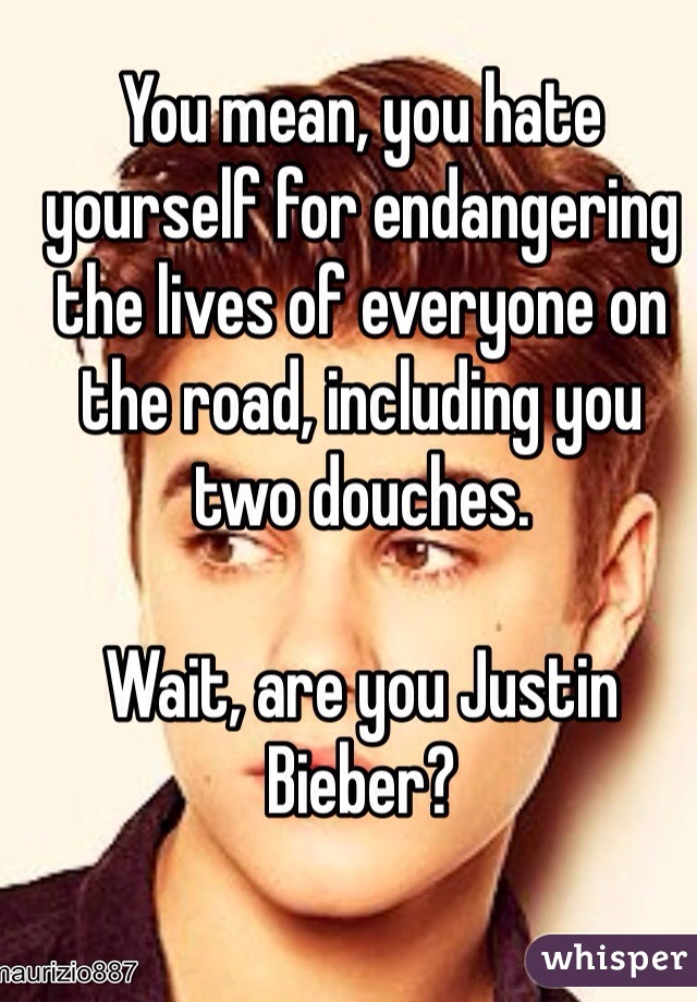 You mean, you hate yourself for endangering the lives of everyone on the road, including you two douches.

Wait, are you Justin Bieber?
