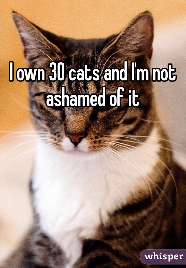 I own 30 cats and I'm not ashamed of it 